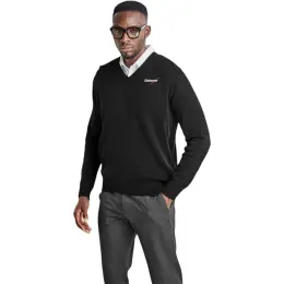 Mens Heavyweight Ecuador V-Neck Jersey Model Image